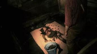 26种死法2.5：M号档案,M号档案中的惊悚真相